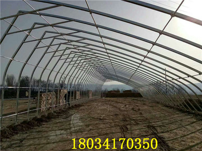 温室大棚几字钢钢骨架建的大棚收益高