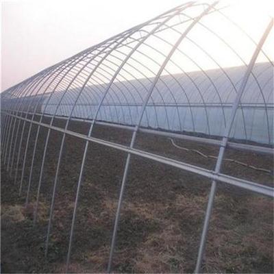 主营产品:连栋大棚,温室大棚,养殖大棚