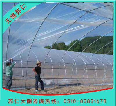 【专业大棚厂家 直销蔬菜大棚 单体温室大棚 大棚钢架 热浸锌管】价格_厂家_图片 -