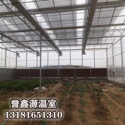 温室建筑 覆盖材料选择