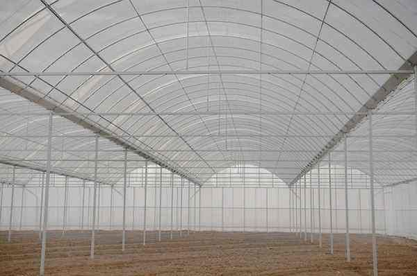 温室大棚工程建造常用的覆盖材料有哪些?