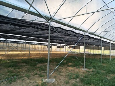 建设温室大棚(图)-温室大棚骨架-温室大棚