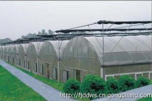 福建金线莲温室大棚_农副产品_世界工厂网