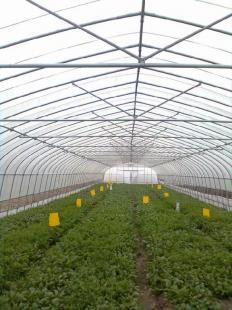 蔬菜大棚,.温室大棚.,养殖大掤.,塑料大棚,大棚 钢架大棚_农副产品_世界工厂网中国产品信息库