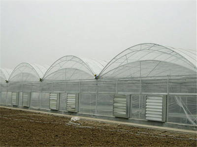 榆林种植大棚-郑州 【欣盛温室】-种植大棚安装厂家
