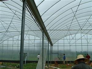 上海源农温室设备销售、联系电话:13916408566{李先生},单体温室大棚,连栋温室大棚,花卉温室大棚,蔬菜温室大棚,玻璃温室大棚产品信息|中国农业网
