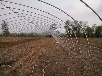 温室大棚使用烟熏剂的注意事项