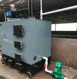 燃煤养殖锅炉厂家图片大全