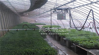 温室轨道式移动喷灌机的产品用途及发展趋势