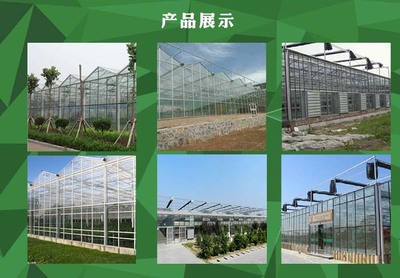 蔬菜花卉温室大棚工程生产安装 青州盛鸿