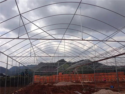 钢结构温室大棚多少钱 钢结构温室大棚 宏绩温室大棚工程造价