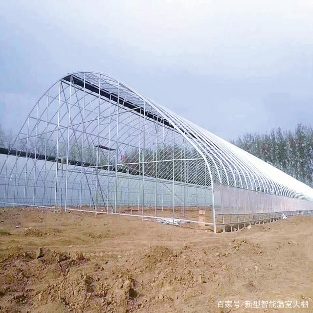 钢结构日光单体拱棚