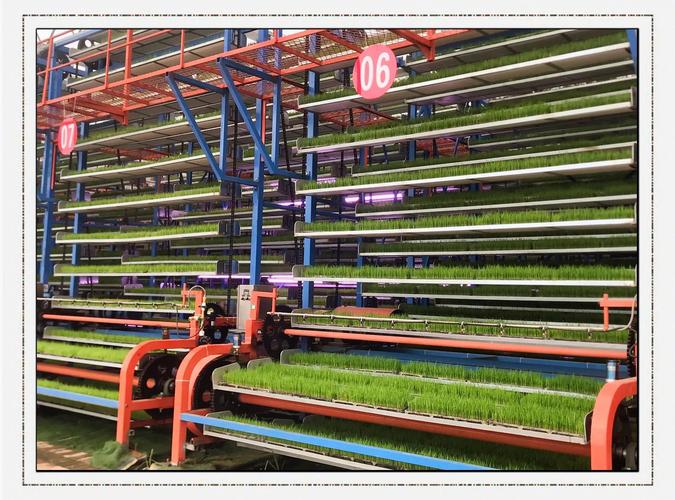 温室大棚育苗的智能革命
