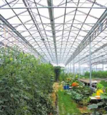 山东蔬菜温室大棚施工