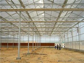 精品推荐 天津市静海区富农温室大棚制造厂