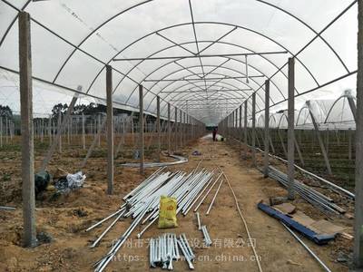 葡萄大棚价格 葡萄种植大棚 东莞葡萄大棚搭建