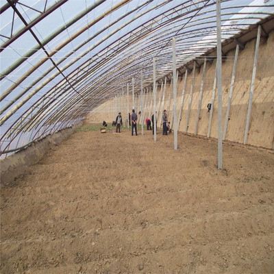 日光蔬菜大棚 花卉种植大棚 温室大棚厂家