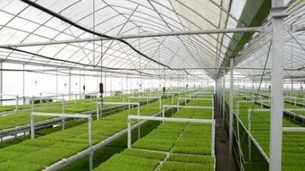 漫谈|“亿元村”是如何做到的?这里有套路!