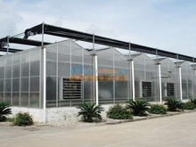 温室大棚建设多少钱 哪里有提供称心的花卉温室大棚