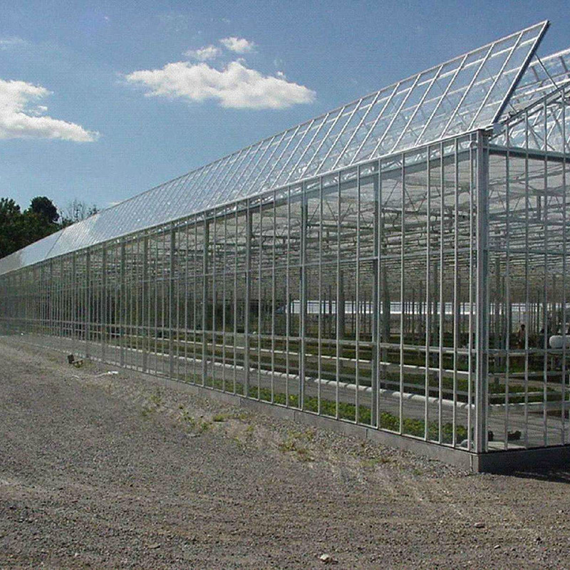 【强泰温室大棚】智能温室 智能温室大棚、智能温室大棚制造安装、智能温室大棚生产厂家、山西智能温室大棚、河北智能温室大棚图片_高清图_细节图-天津强泰钢铁贸易 -