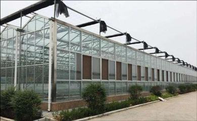 玻璃温室大棚,怎样进行日常维护?