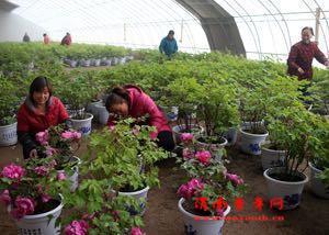 2月1日 微博中的渭南事(组图)