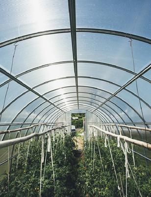 温室大棚用薄膜 服务周到