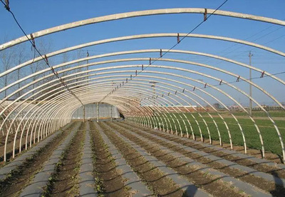 温室大棚管敷设-大理温室大棚管-振大大棚管批发(查看)