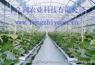 如何保护好温室大棚的棚膜呢_农副产品_世界工厂网