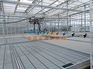 温室大棚移动喷灌机批发 效果好的大棚喷灌机推荐