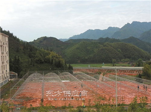 蔬菜温室大棚安装 龙岩蔬菜温室大棚 福建蔬菜温室大棚厂家图片