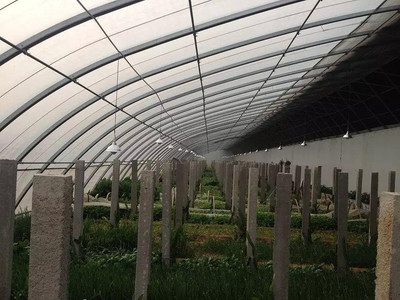 承建蔬菜大棚 温室工程 温室大棚 蔬菜大棚 建造温室工程