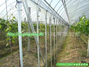 供应台州临海单体钢管温室葡萄大棚 GP825