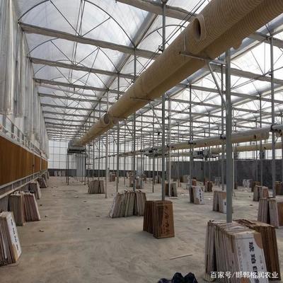 阳光板温室大棚的选择