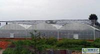 高档花卉温室大棚 供应、价格与厂家全解析