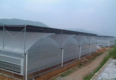 连栋温室大棚的特点与成本分析