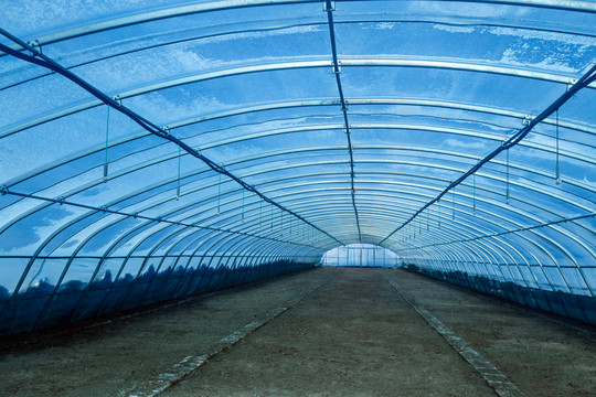 蔬菜大棚与温室大棚 现代农业生产的关键设施