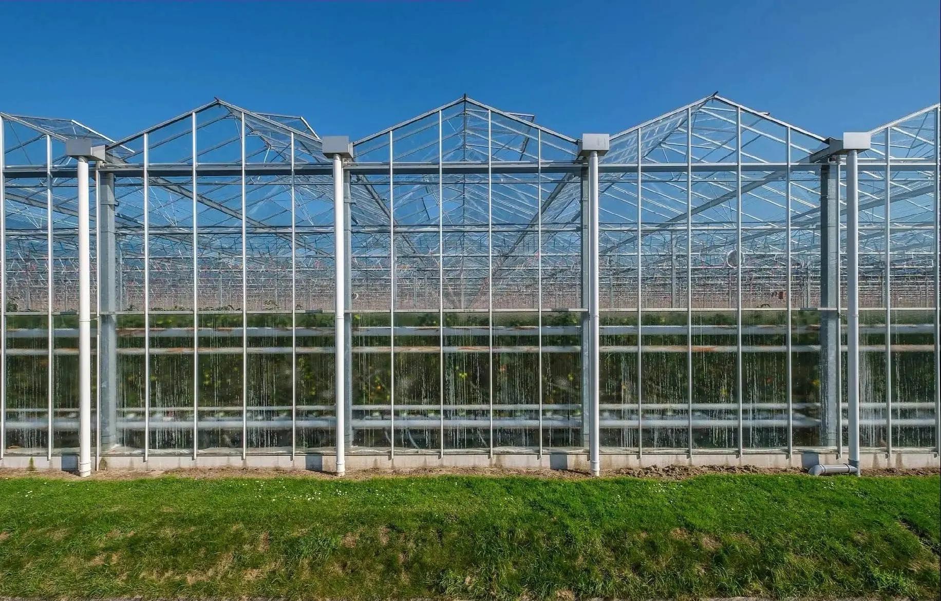 沈阳智能玻璃温室大棚建设成本解析