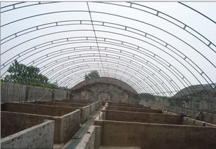 温室大棚 现代农业的智慧堡垒