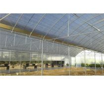 现代化温室大棚 高效农业的关键设施