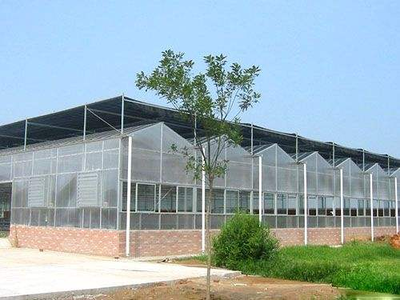 河南阳光板温室维修产品的广泛应用情况