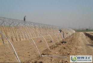 厂家直销物廉价美温室大棚工程建设与农副产品生产