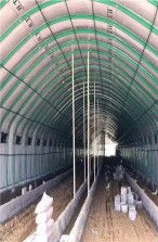 潜江养殖温室大棚价格详解 多少钱一平方？