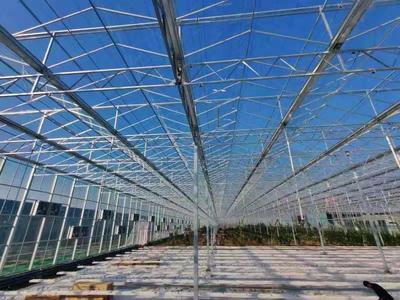 连栋薄膜温室大棚建造商 鑫秾温室 纹络温室设计