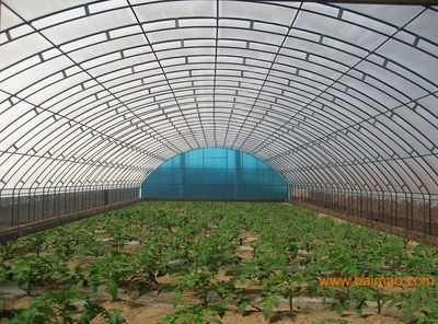 温室大棚-蔬菜大棚-养殖大棚-连栋大棚-玻璃棚-立泰温室为您服务