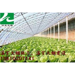 温室 大棚价格 河北河南山西温室大棚建造公司 冬暖式全钢架大棚批发价格 潍坊市