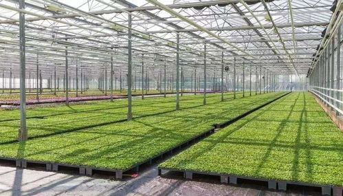 电动车充电,在小区种菜,小区打印店 超市,小区幼儿园