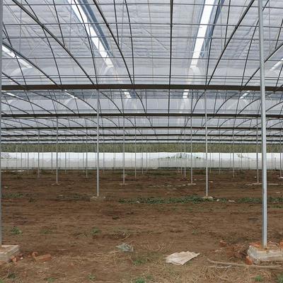 【兴晟农业】专业生产制造各种温室大棚 咸阳蔬菜大棚 咸阳蔬菜大棚建造 咸阳温室大棚骨架 咸阳几字钢大棚骨架图片_高清图_细节图