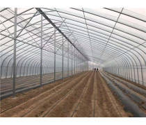 樱桃大棚产品库