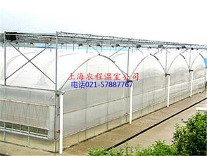 上海农程温室工程制造公司 创新温室大棚解决方案，助力现代农业发展